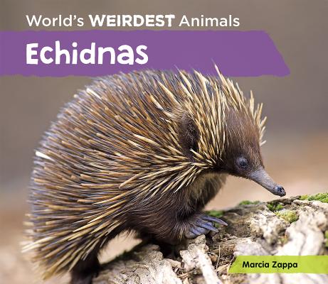 Echidnas (World's Weirdest Animals)