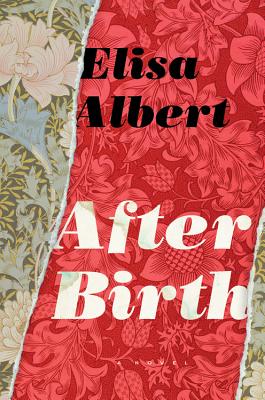 Cover Image for After Birth: A Novel