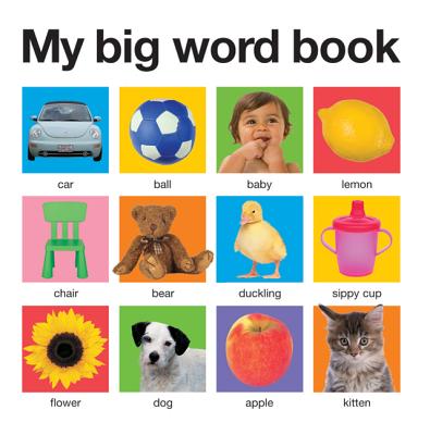 My Big Word Book (casebound) (My Big Board Books)