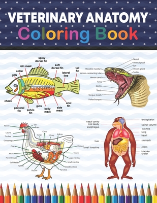 Veterinary Anatomy Coloring Book: Incredibly Detailed Self-Test Veterinary  Anatomy Coloring Book for Animal Anatomy Students Veterinary Anatomy self t  (Paperback) | Malaprop's Bookstore/Cafe