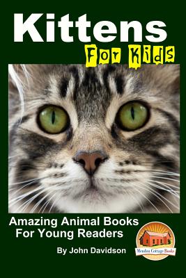 The Little Tabby Cat Book [Book]