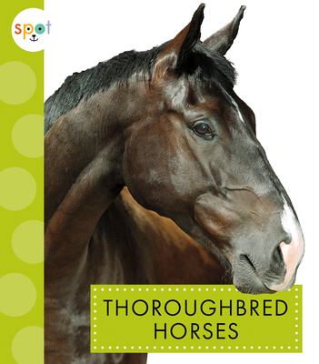 Thoroughbred Horses (Spot Horses) By Alissa Thielges Cover Image