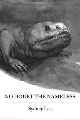Cover for No Doubt the Nameless