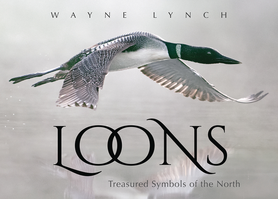 Loons: Treasured Symbols of the North By Wayne Lynch Cover Image