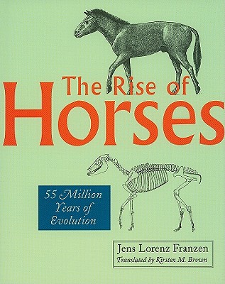 The Rise of Horses: 55 Million Years of Evolution By Jens Lorenz Franzen, Kirsten M. Brown (Translator) Cover Image