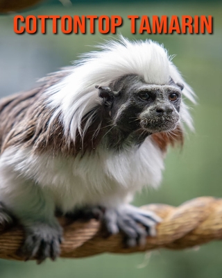 Cottontop Tamarin: Beautiful Pictures & Interesting Facts Children Book About Cottontop Tamarin By Katie Mercer Cover Image