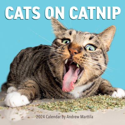 Cats on Catnip Wall Calendar 2024: A Year of Cats Living the High Life and Feeling Niiiiice By Andrew Marttila, Workman Calendars Cover Image