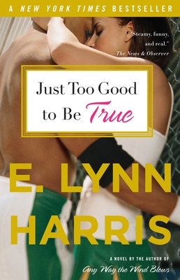 Just Too Good to Be True: A Novel Cover Image