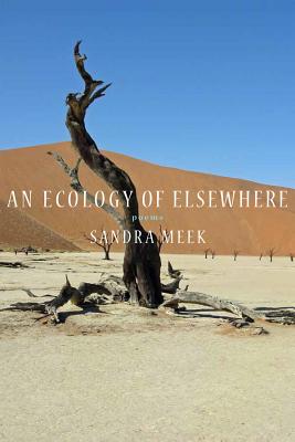 Cover for An Ecology of Elsewhere
