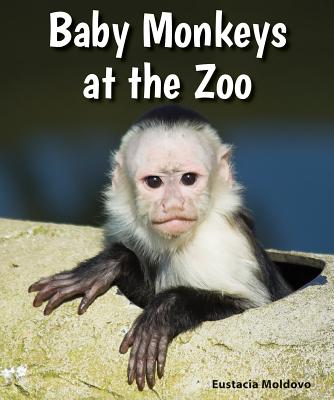 Baby Monkeys at the Zoo (All about Baby Zoo Animals)