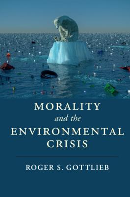Morality and the Environmental Crisis (Cambridge Studies in Religion)