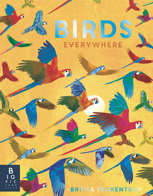 Birds Everywhere By Camilla de la Bedoyere, Britta Teckentrup (Illustrator) Cover Image