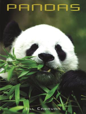 Pandas (Animals in the Wild) Cover Image