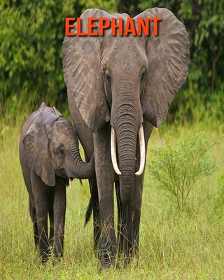 Elephant: Amazing Facts about Elephant (Paperback) | Hooked