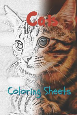 Cat Coloring Sheets: 30 Cat Drawings, Coloring Sheets Adults Relaxation, Coloring Book for Kids, for Girls, Volume 12 By Julian Smith Cover Image