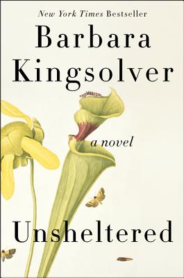 Cover Image for Unsheltered: A Novel