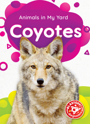 Coyotes (Animals in My Yard)