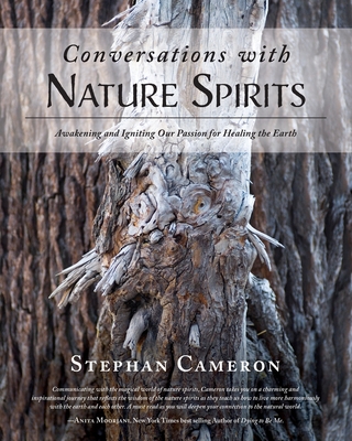 Conversations with Nature Spirits: Awakening and Igniting Our Passion for Healing the Earth By Stephan Cameron Cover Image