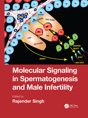 Molecular Signaling in Spermatogenesis and Male Infertility Cover Image