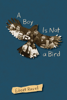 A Boy Is Not a Bird By Edeet Ravel Cover Image
