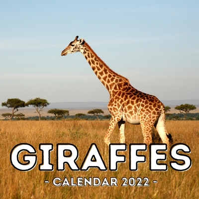 Giraffes Calendar 2022: 16-Month Calendar, Cute Gift Idea For Giraffe Lovers Men And Women By Clear Potato Press Cover Image