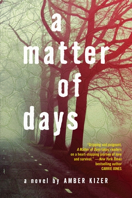 Cover for A Matter of Days