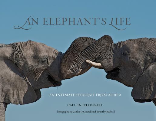 An Elephant's Life: An Intimate Portrait from Africa | IndieBound.org