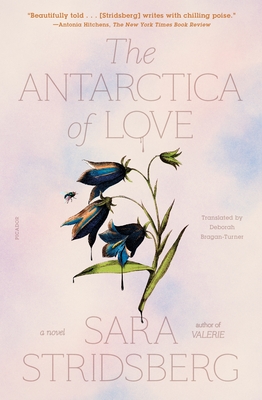 The Antarctica of Love: A Novel By Sara Stridsberg, Deborah Bragan-Turner (Translated by) Cover Image