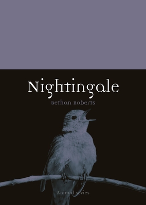 Nightingale (Animal) By Bethan Roberts Cover Image