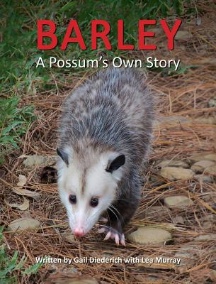 Barley, a Possum's Own Story By Gail Diederich, Lea Murray (With) Cover Image