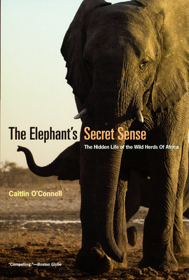 The Elephant's Secret Sense: The Hidden Life of the Wild Herds of Africa Cover Image