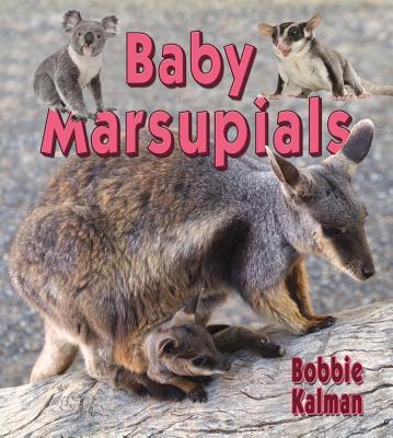 Baby Marsupials (Its Fun to Learn about Baby Animals) By Bobbie Kalman Cover Image