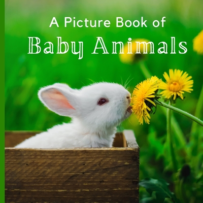 A Picture Book of Baby Animals: A Beautiful Picture Book for Seniors With Alzheimer's or Dementia. (Paperback) | One More Page A Picture Book of Baby Animals: A Beautiful Picture Book for Seniors With Alzheimer's or Dementia. (Paperback) | One More Page