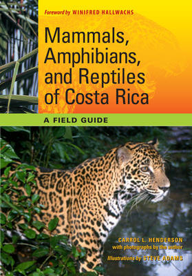 Mammals, Amphibians, and Reptiles of Costa Rica: A Field Guide By Carrol L. Henderson, Steve Adams (Illustrator), Winifred Hallwachs (Introduction by) Cover Image