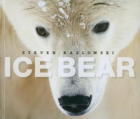 Ice Bear: The Arctic World of Polar Bears By Steven Kazlowski Cover Image