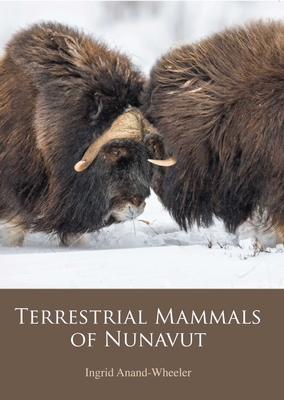 Terrestrial Mammals of Nunavut By Ingrid Anand-Wheeler Cover Image