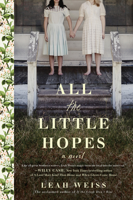 All the Little Hopes: A Novel By Leah Weiss Cover Image
