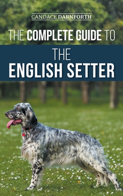 English store setter training