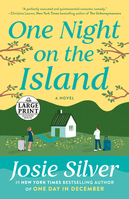 Cover for One Night on the Island