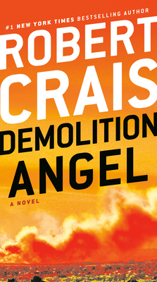 Demolition Angel: A Novel Cover Image