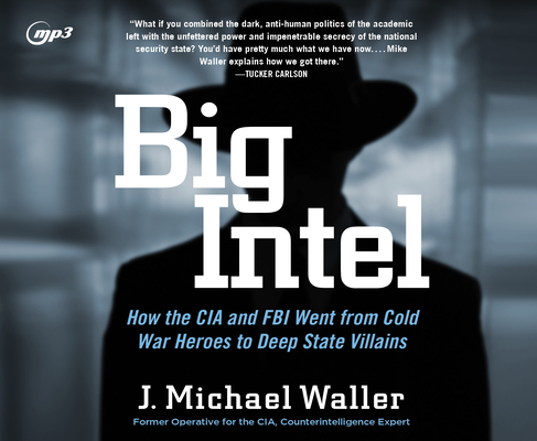 Big Intel: How the CIA Went from Cold War Heroes to Deep State Villains Cover Image
