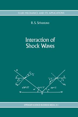 Interaction of Shock Waves (Fluid Mechanics and Its Applications #22) By R. S. Srivastava Cover Image