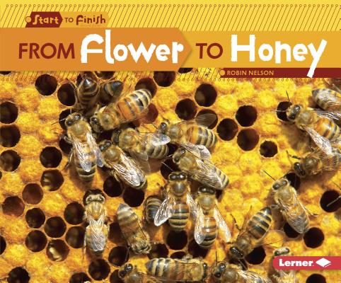 From Flower to Honey (Start to Finish) By Robin Nelson Cover Image