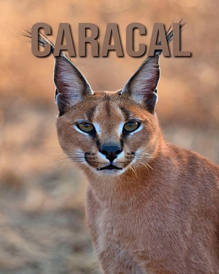 Caracal: Amazing Photos of Animals in Nature About Caracal By Alicia Henry Cover Image
