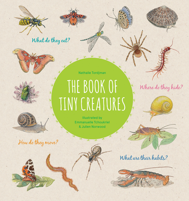 The Book of Tiny Creatures By Nathalie Tordjman, Julien Norwood (Illustrator), Emmanuelle Tchoukriel (Illustrator) Cover Image