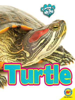 Turtle (Caring for My Pet) Cover Image
