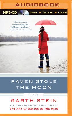 Raven Stole the Moon Cover Image