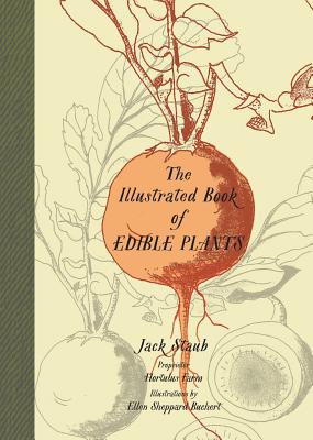The Illustrated Book of Edible Plants By Jack Staub, Ellen Sheppard Buchert (Illustrator) Cover Image