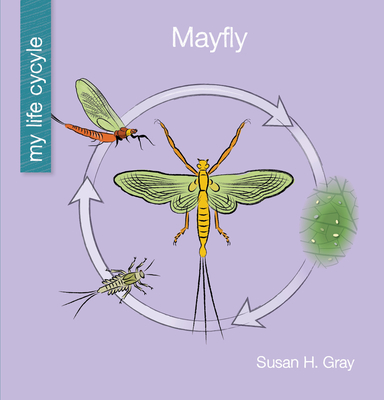 Mayfly (My Early Library: My Life Cycle)