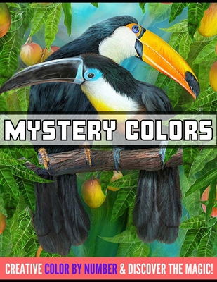 Mystery colors creative color by number & discover the magic: Large Print An Adult Color By Numbers Coloring Book Blooming Gardens to Color and Displa Cover Image